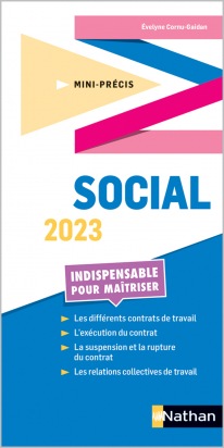 Mini-Précis Social - 2023